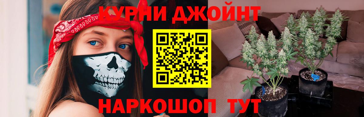 Каннабис семена  Марихуана LSD WEED  Вход с VPN  Карталы  Канабис White Widow  Конопля Amnesia 